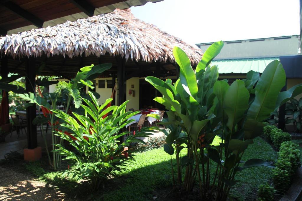 Hotel Amazon Bed And Breakfast Leticia Exteriör bild