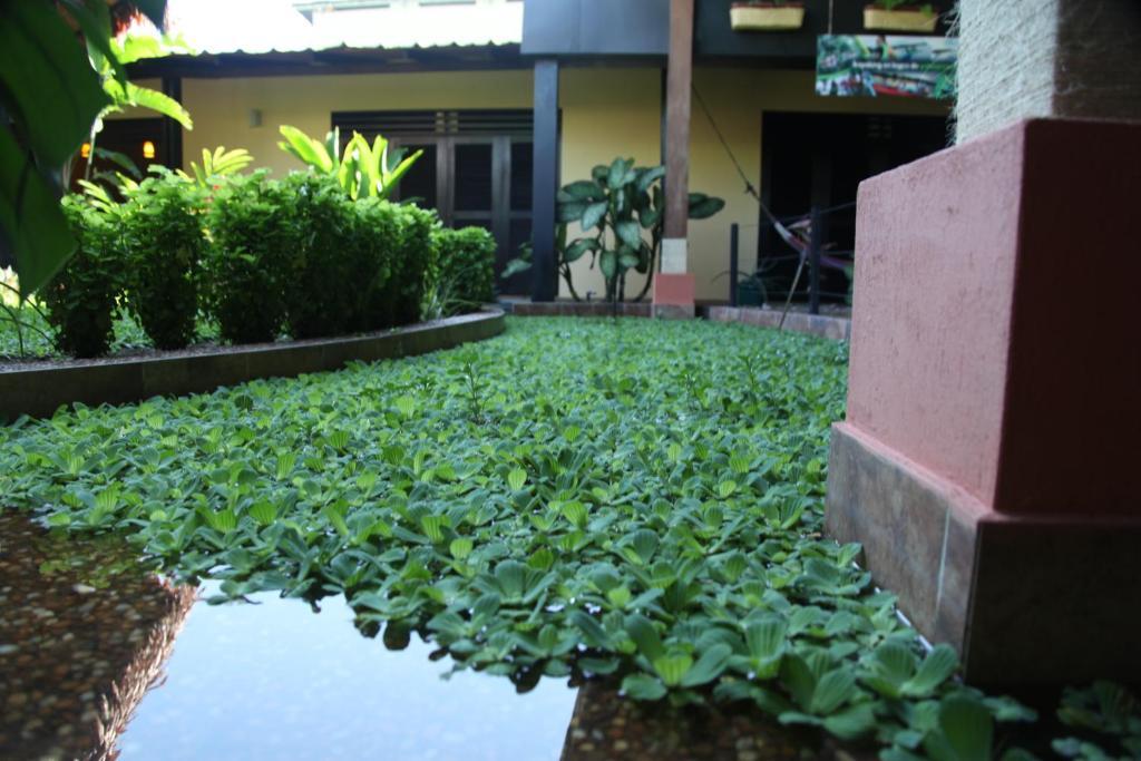 Hotel Amazon Bed And Breakfast Leticia Exteriör bild