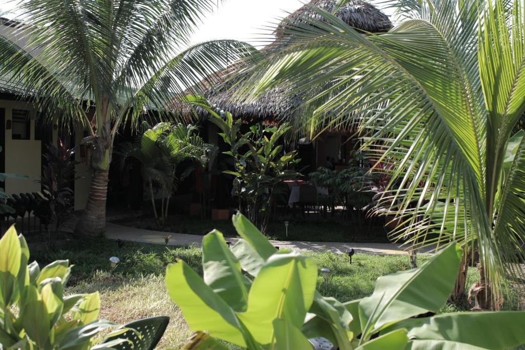 Hotel Amazon Bed And Breakfast Leticia Exteriör bild
